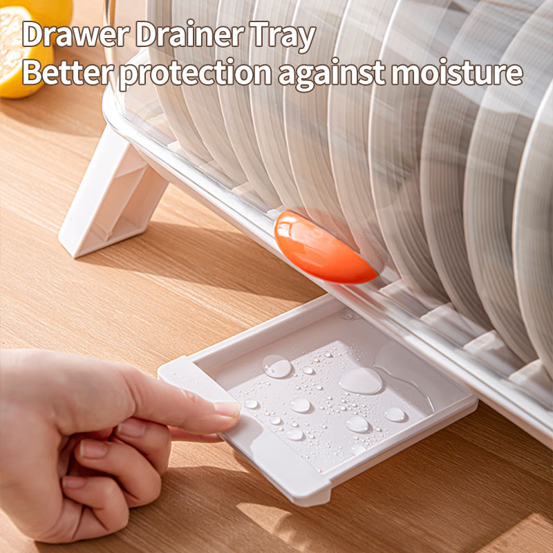 2-Tier Countertop Dish Drying Rack Cabinet simplynest