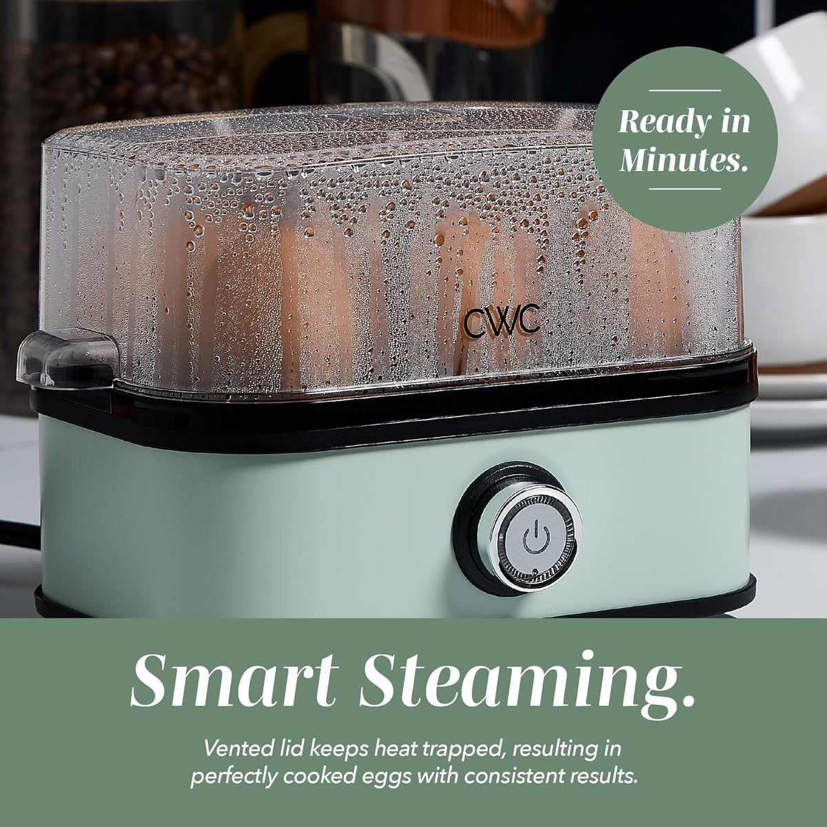 Multifunction Portable Egg Boiler simplynest